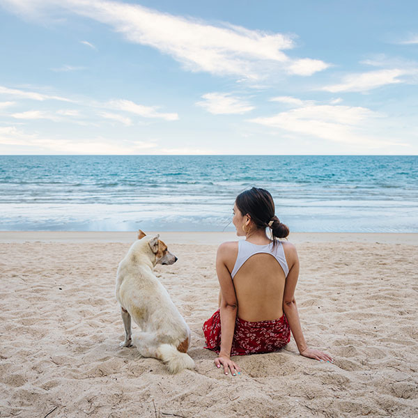 Pet Friendly Rentals